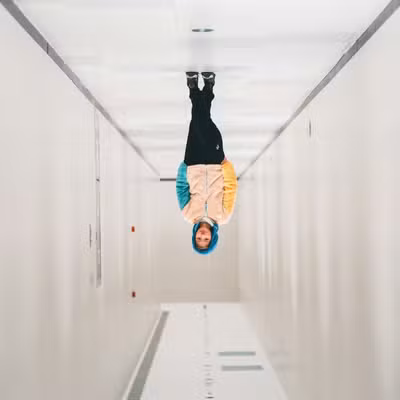 Vertical flip
