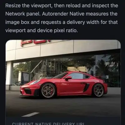 The Autorender Native demo on a phone, where the image renders at 356 by 237 CSS pixels and requests w_720